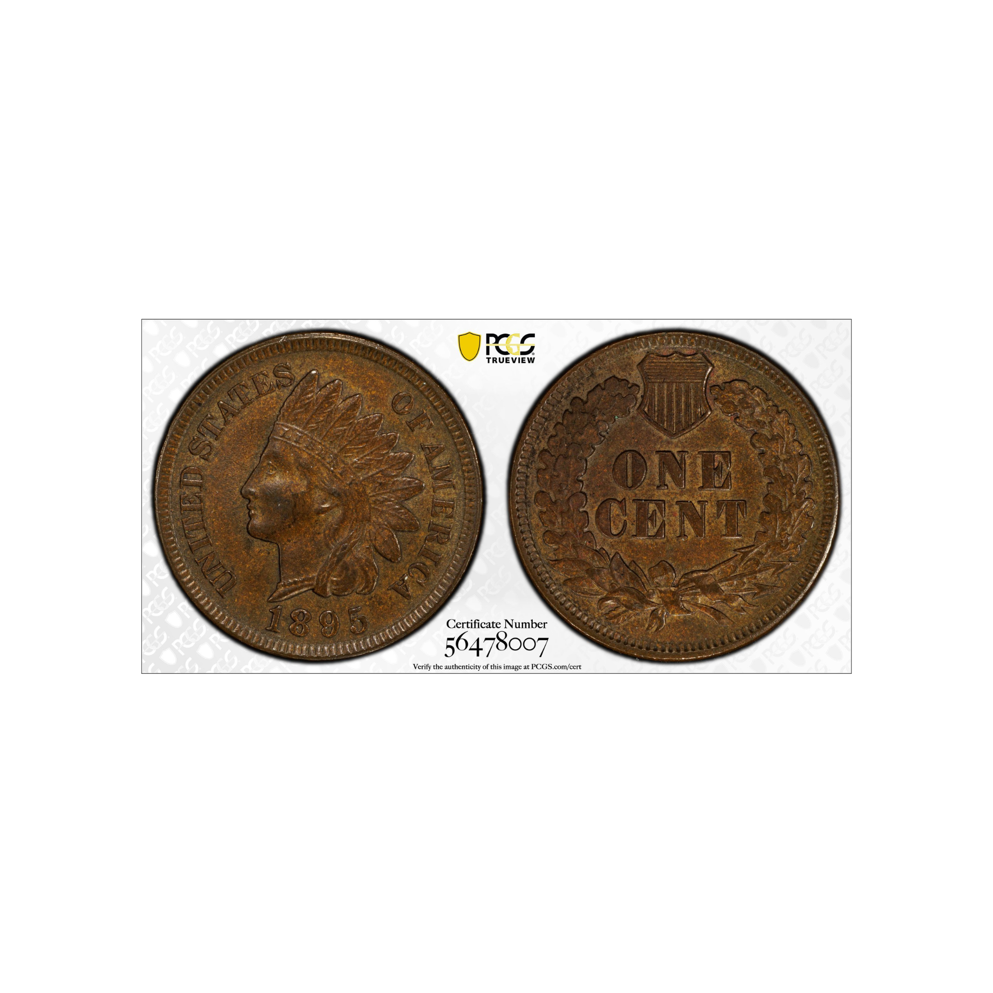 U300 - 18951.png