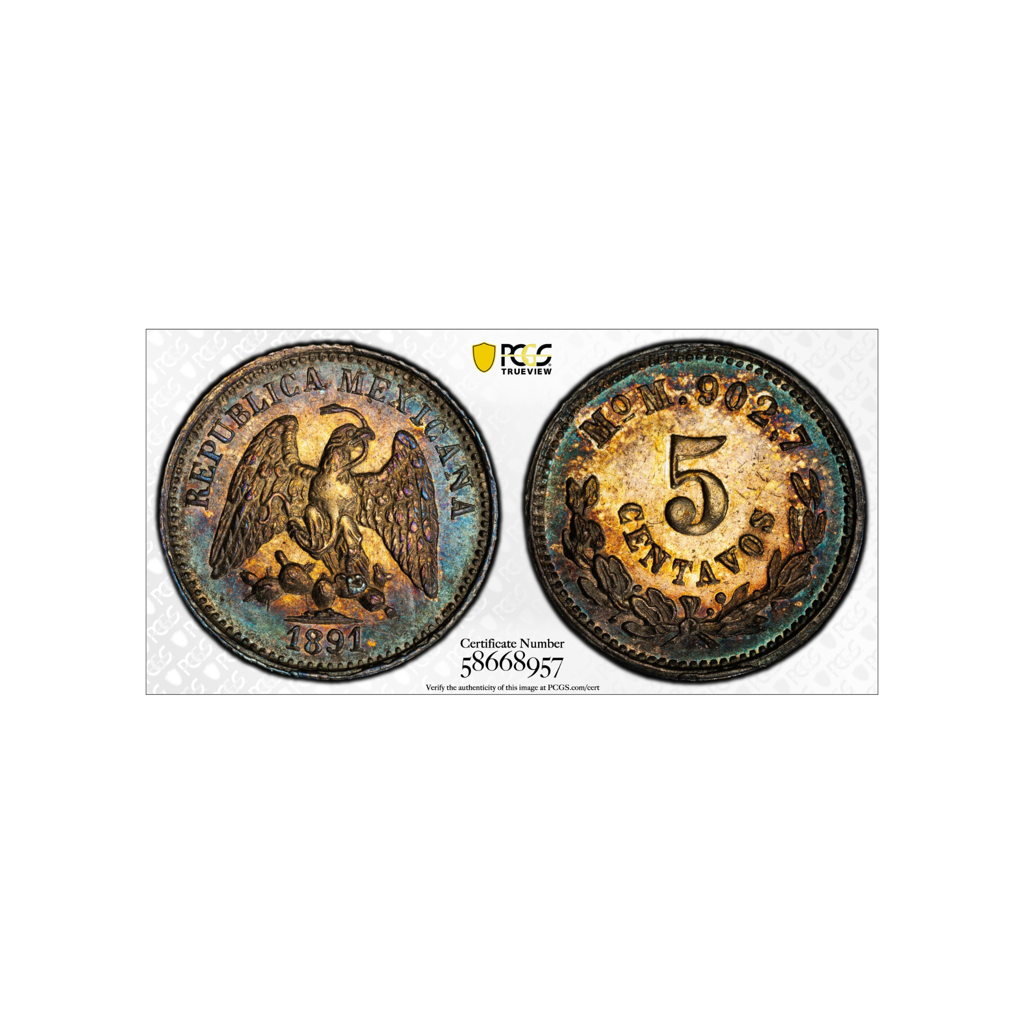 1891Mex5c1.png