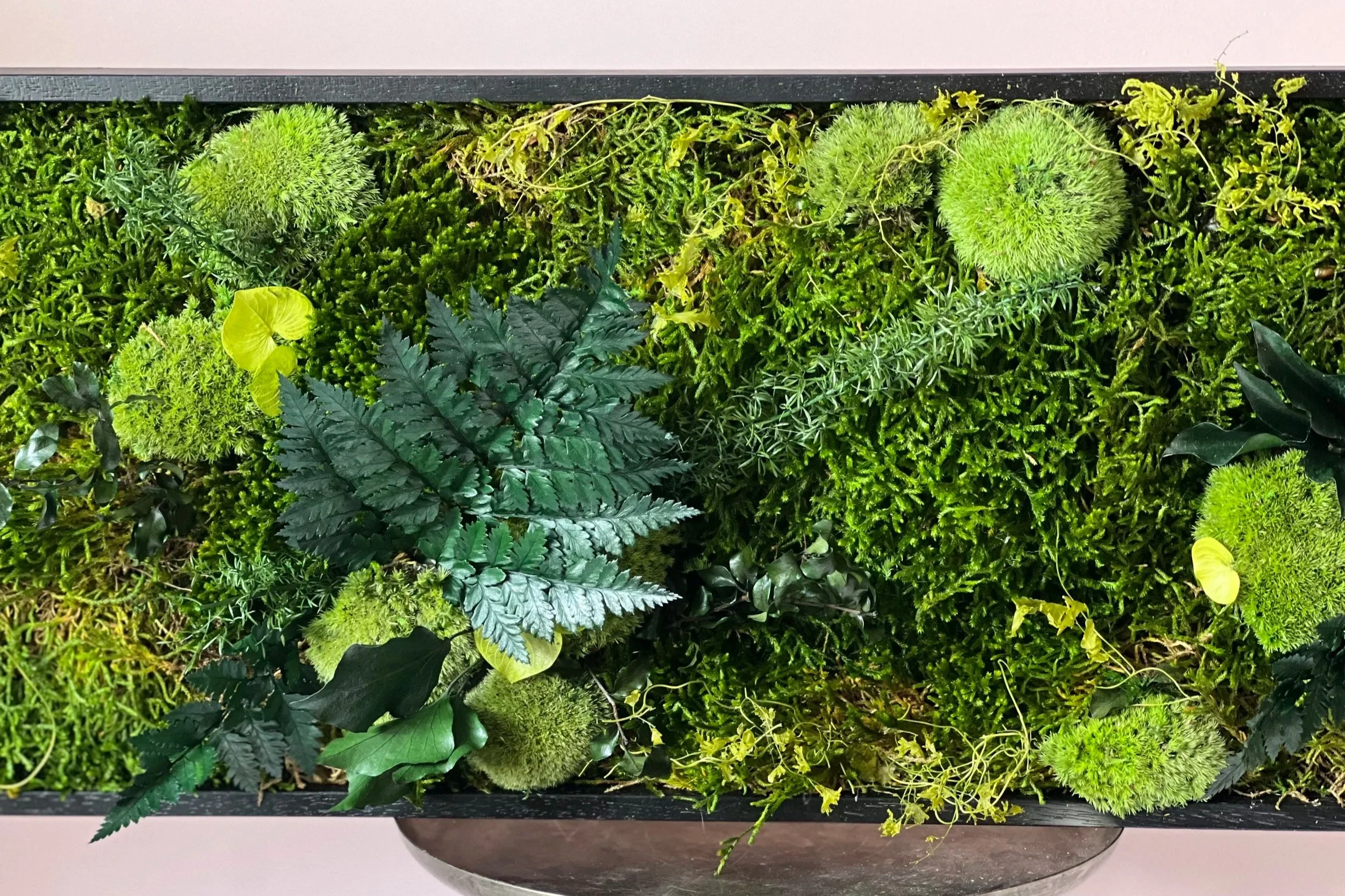 Végétaux stabilisés