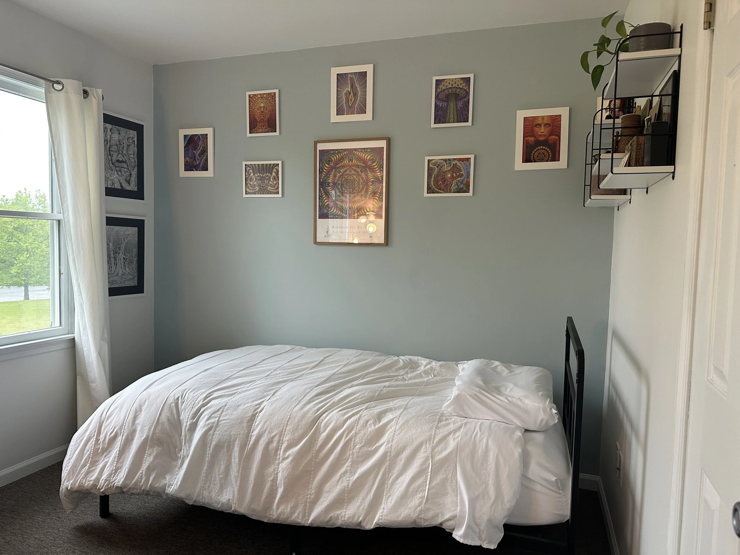 This is the space where the hypnosis portion of the QHHT® session takes place. Designed to feel quiet, comfortable, and restorative, the room supports deep relaxation and inward exploration during the trance experience. Soft natural light, calming ar
