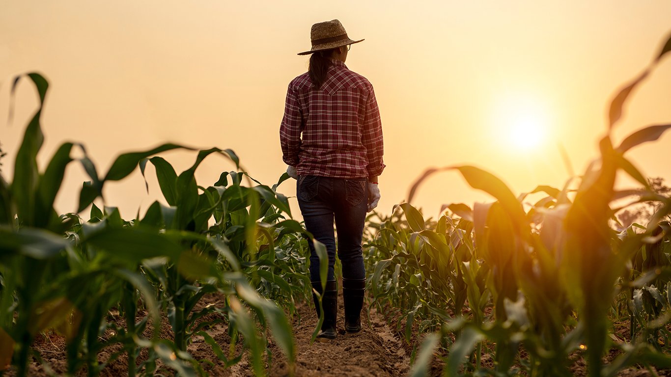 Quand l’alimentation moderne nous éloigne doucement de notre santé