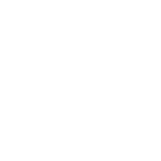Outline of a raised fist with lines radiating outward, symbolizing strength or solidarity.