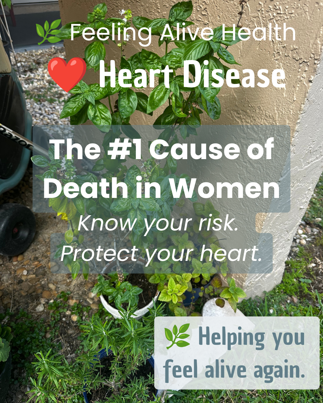 Heart Disease Is the Leading Cause of Death in Women …So Why Aren’t We Talking About It?