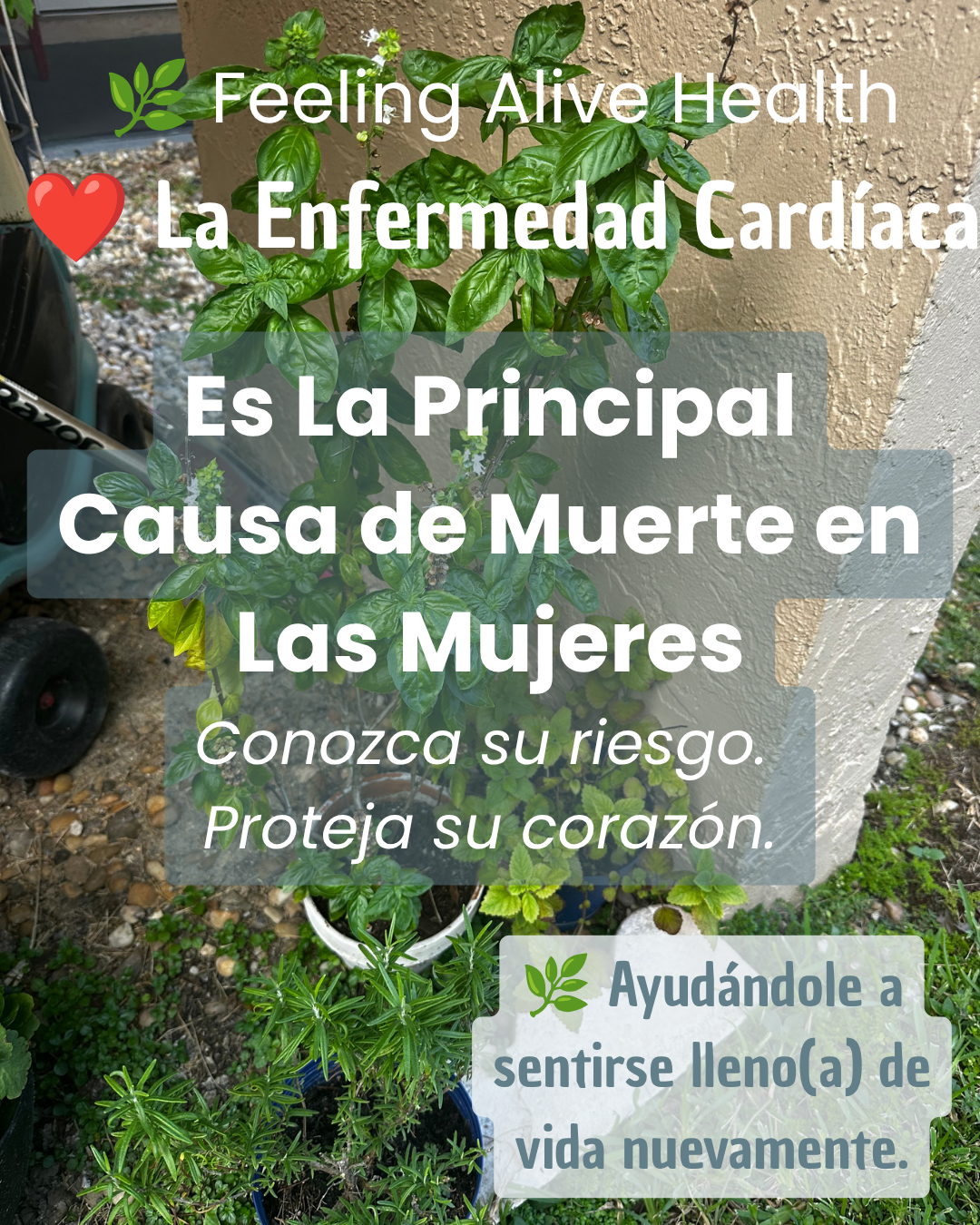 La enfermedad cardíaca es la principal causa de muerte en las mujeres… ¿Entonces por qué no hablamos más de ella?