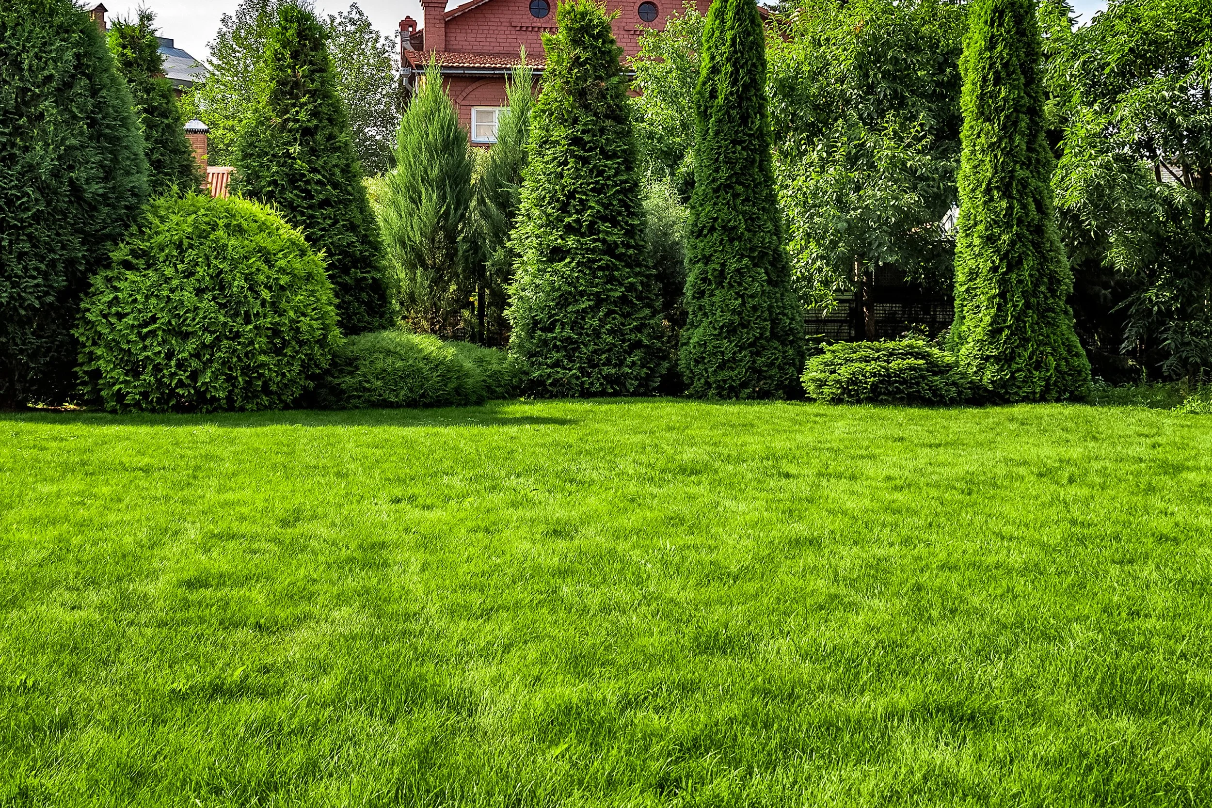 Un jardin avec une pelouse verte et des arbustes et arbres verts denses en arrière-plan, avec une maison en brique rouge en arrière-plan.