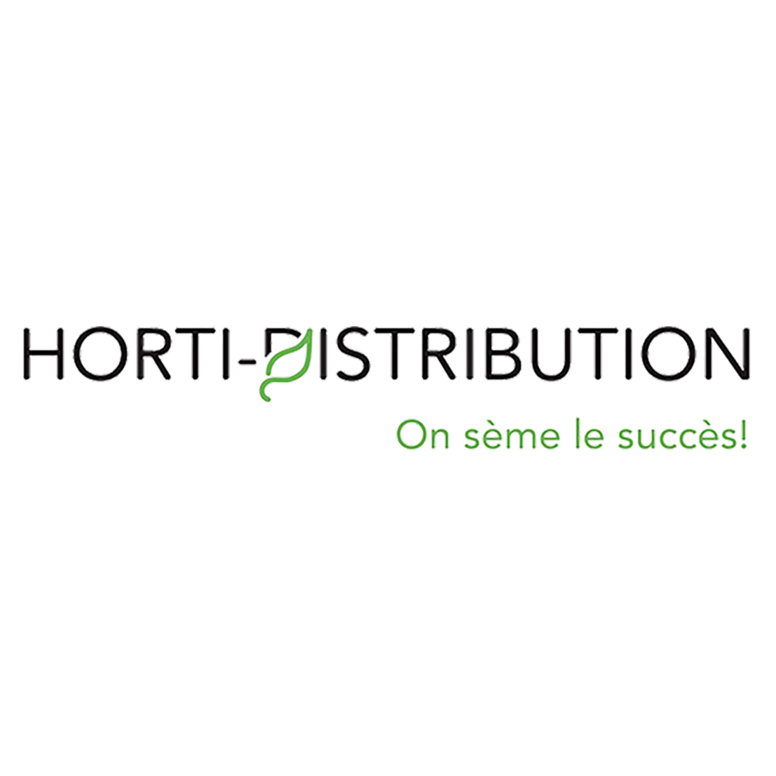 Logo avec le texte "Hortic Distribution" en gros caractères noirs et une feuille verte intégrée dans la lettre 'I', avec la phrase "On sème le succès!" en vert en dessous.