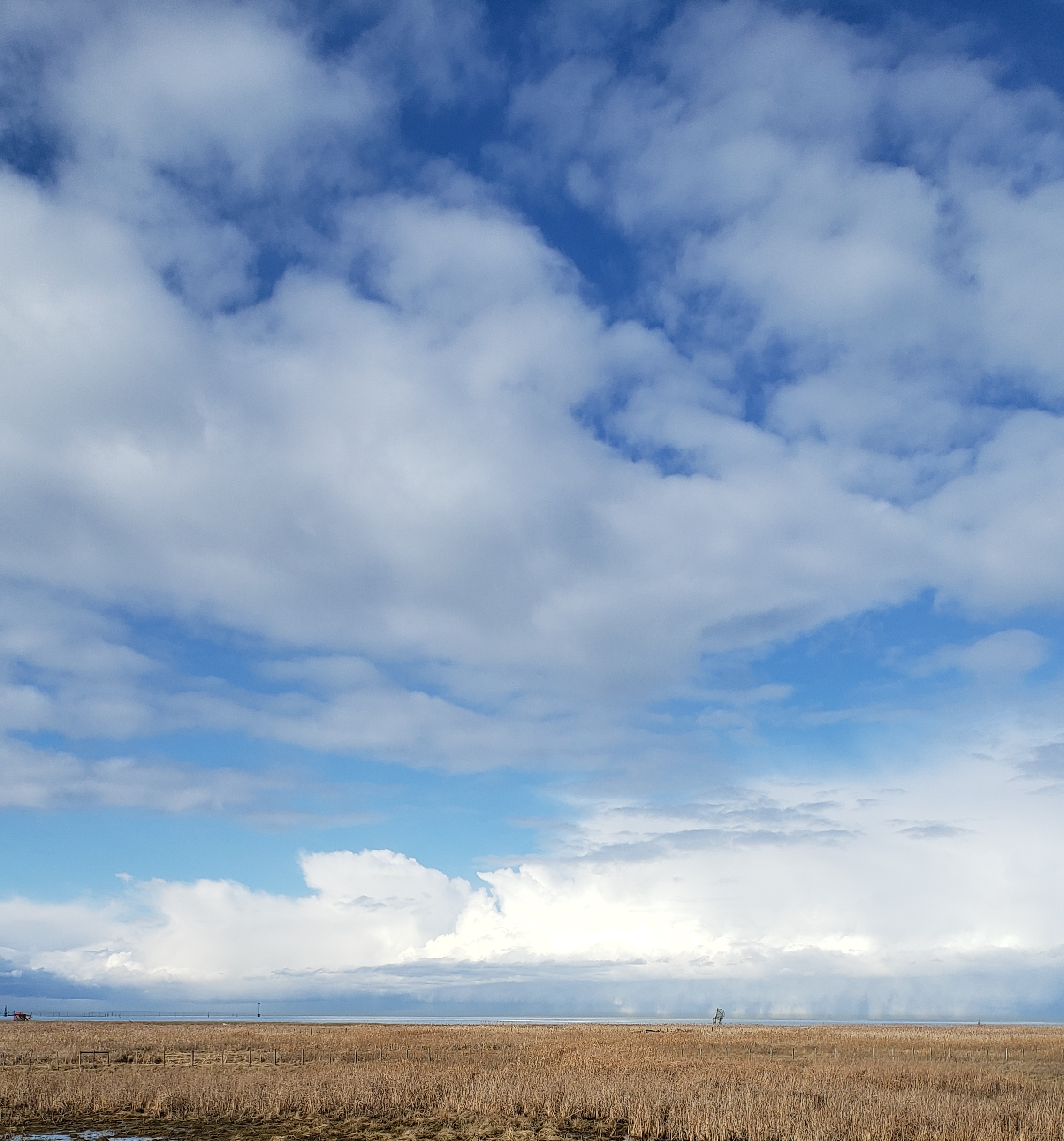 A wide view of a grassy plain with a cloudy blue sky overhead, featuring a mix of white and gray clouds and some blue sky showing.