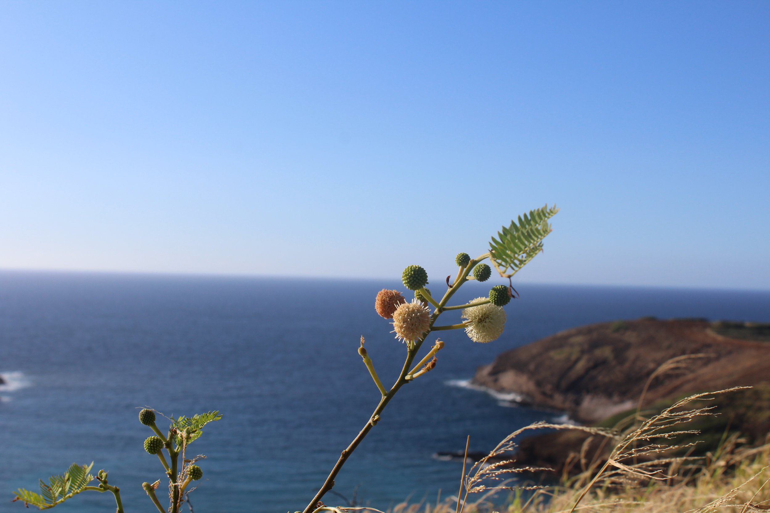 Hanauma Bay, Honolulu, HI.