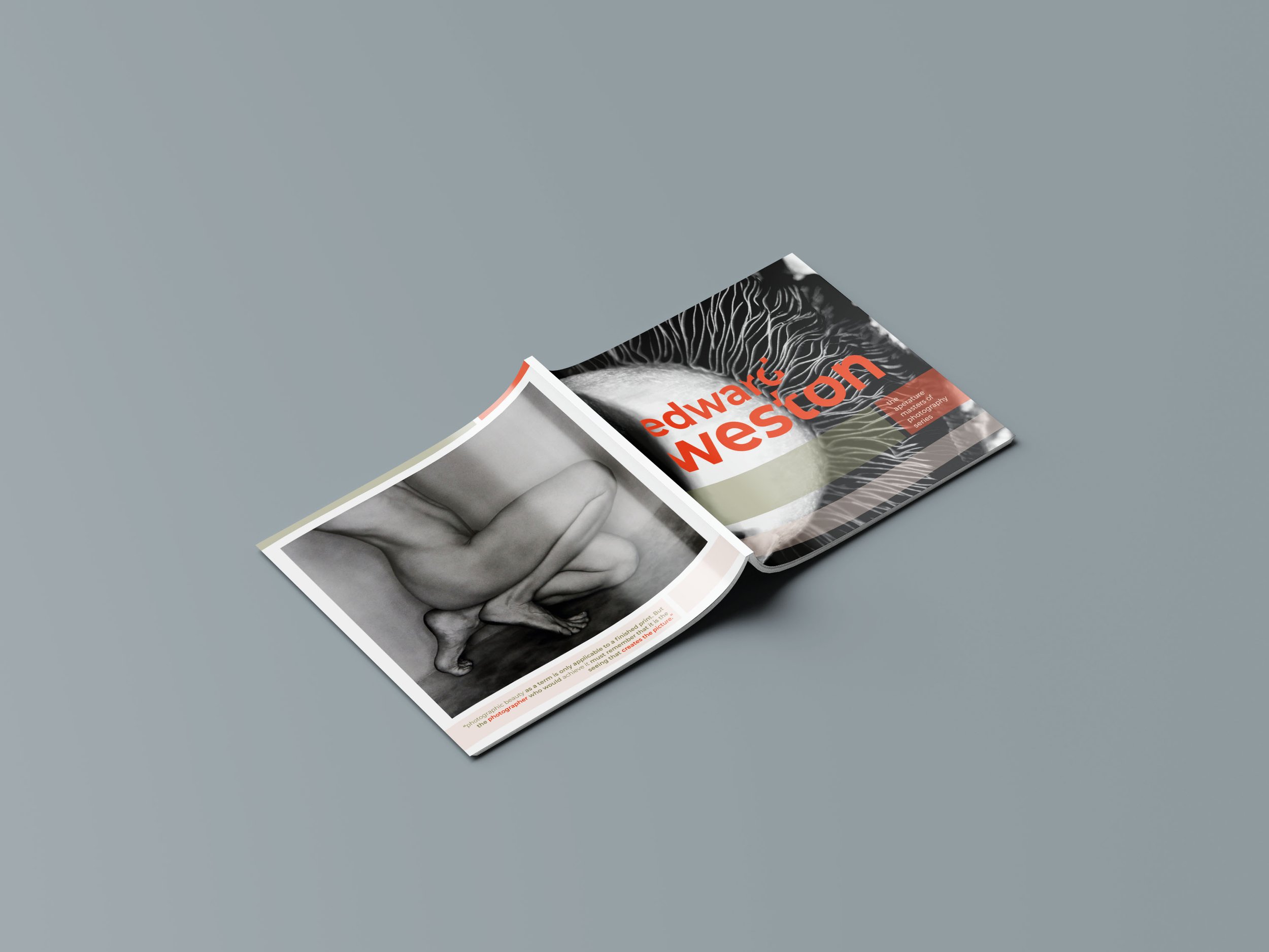 Full Zine Cover Design