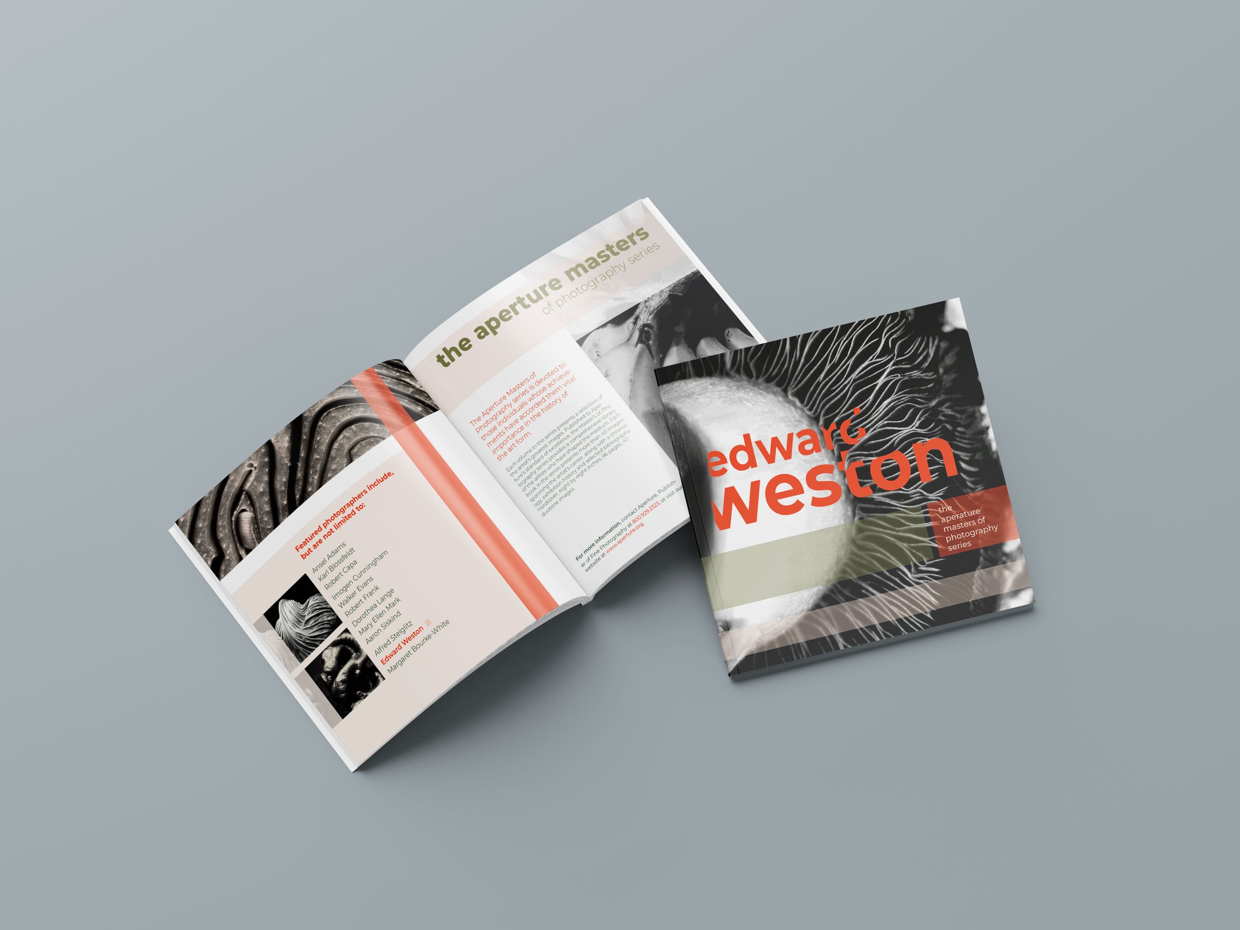 Edward Weston Photography Zine