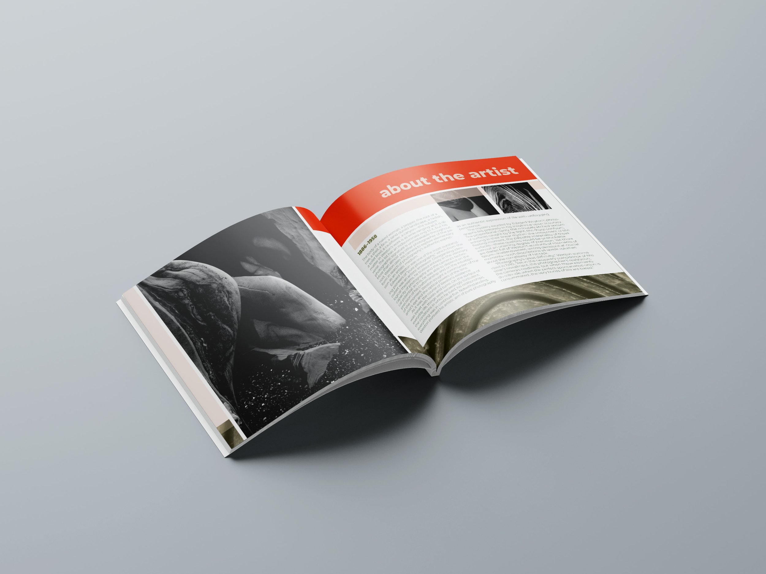 Interior Spread