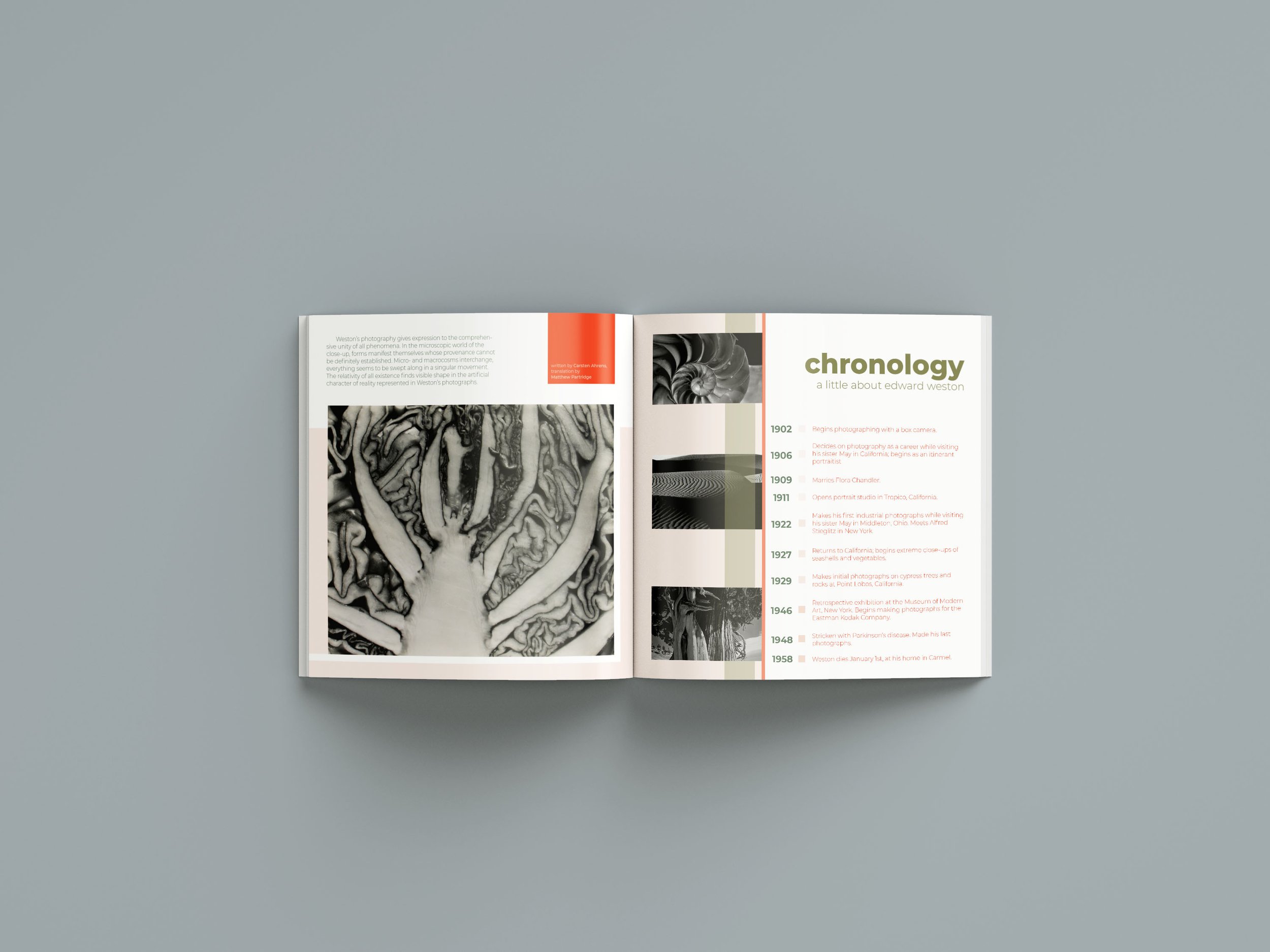 Interior Spread