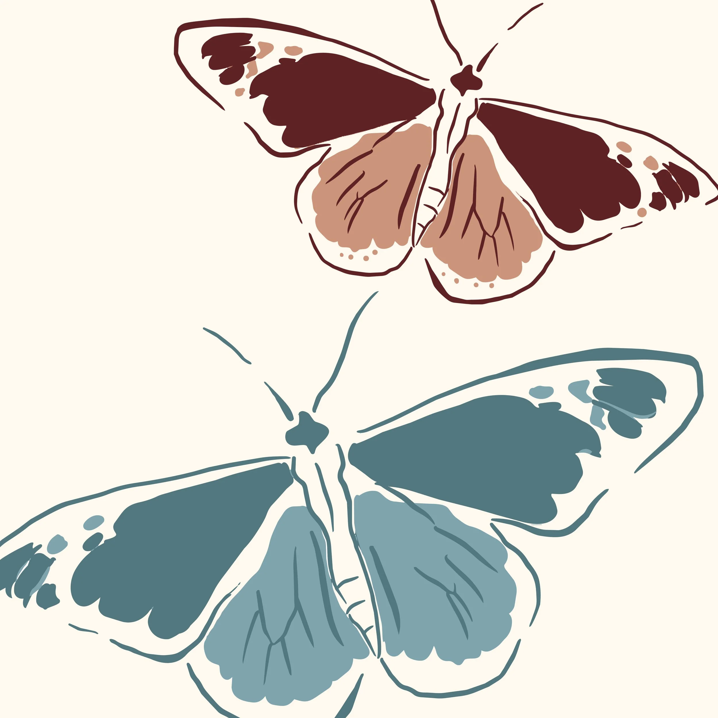 Butterfly Illustrations 1