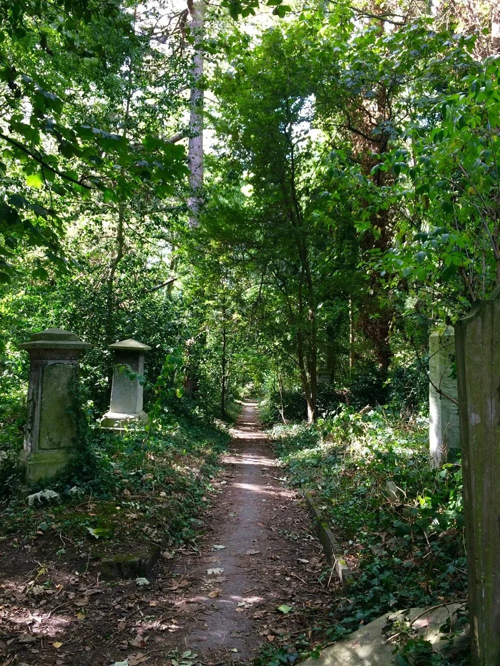 Short story: “Abney Park, N16”