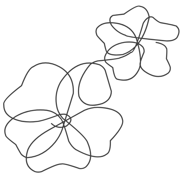 Line drawing of two flowers with large petals and stems on a black background.