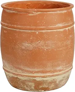 pot1.webp