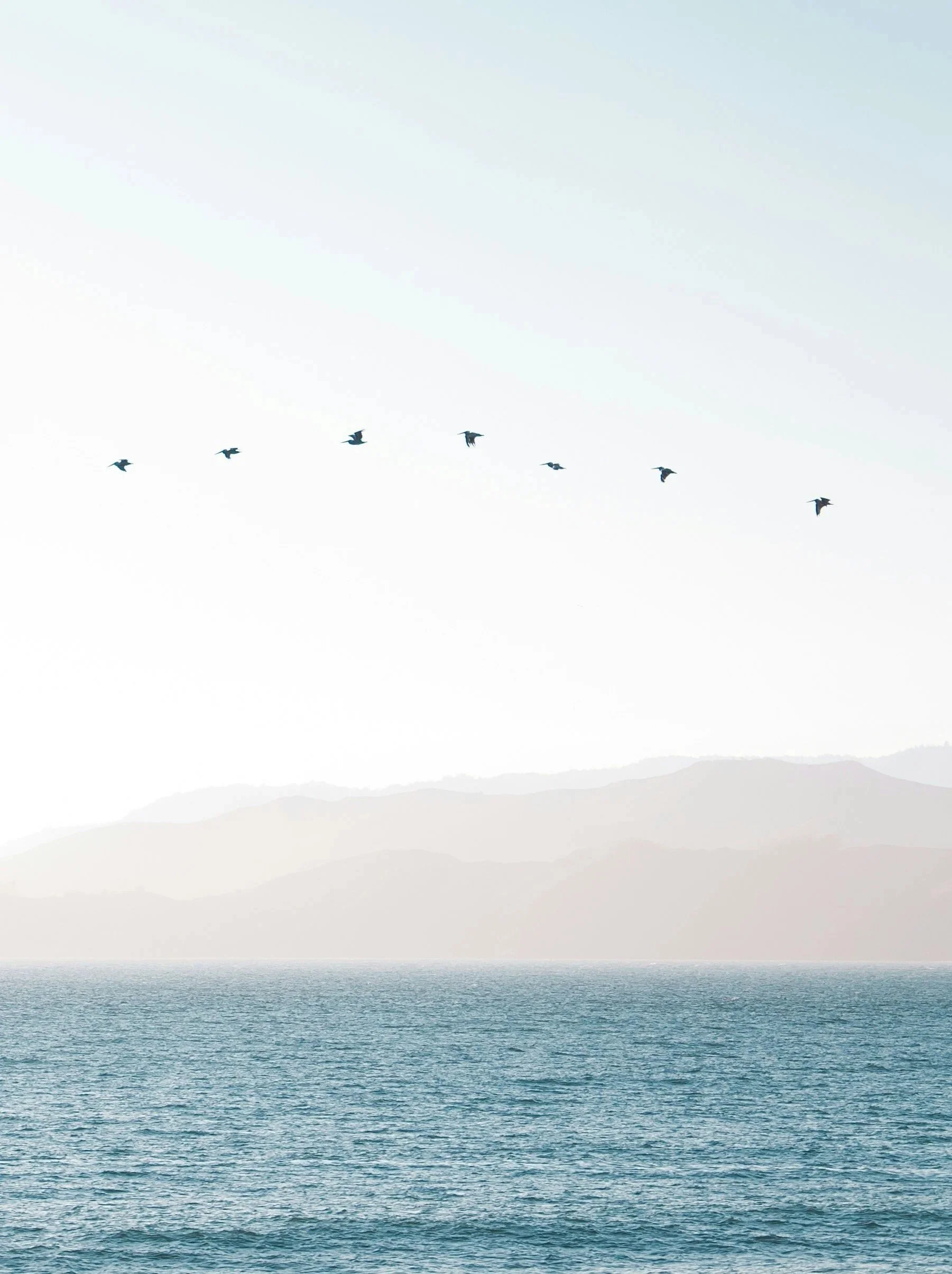 A flock of birds flying over a body of water with mountains in the background.