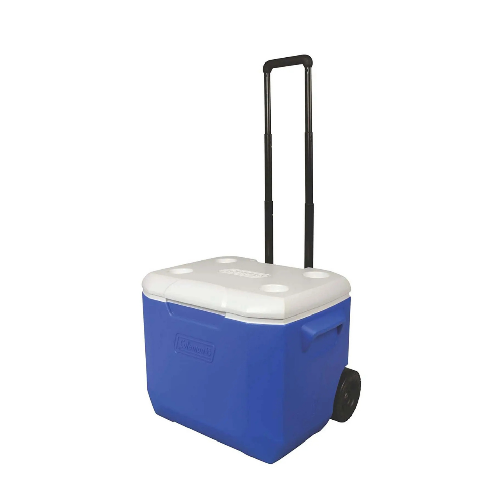 Cooler - Small (48qt)