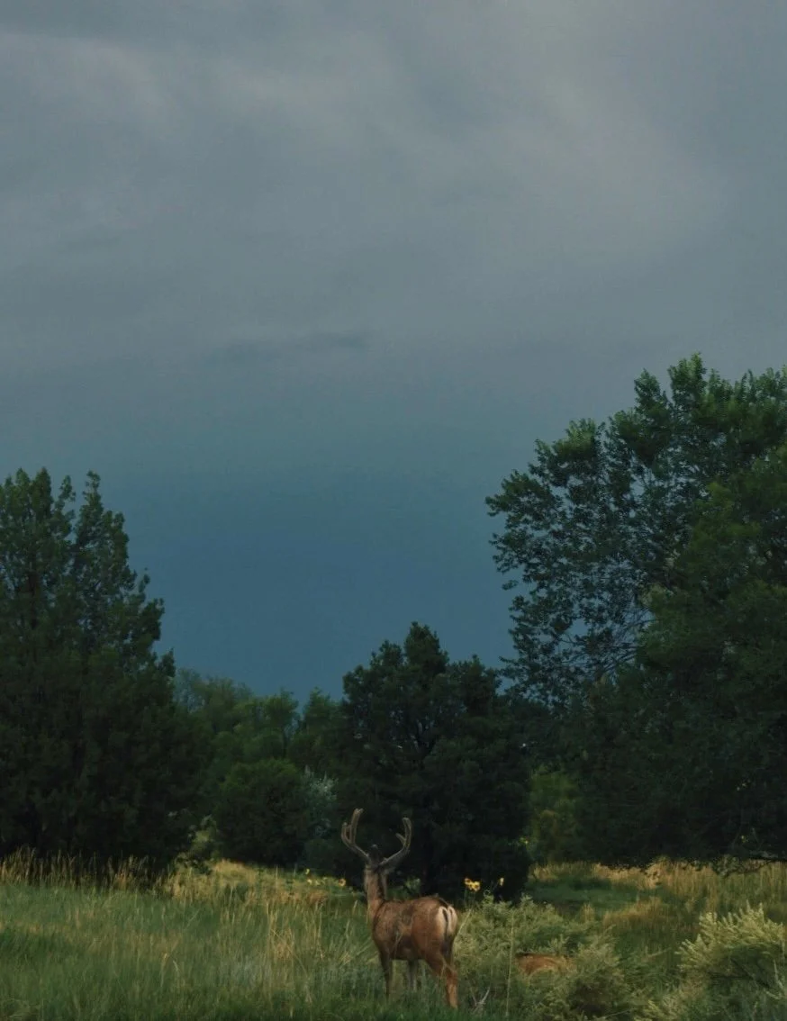 FullSizeRender_VSCO (42).jpg