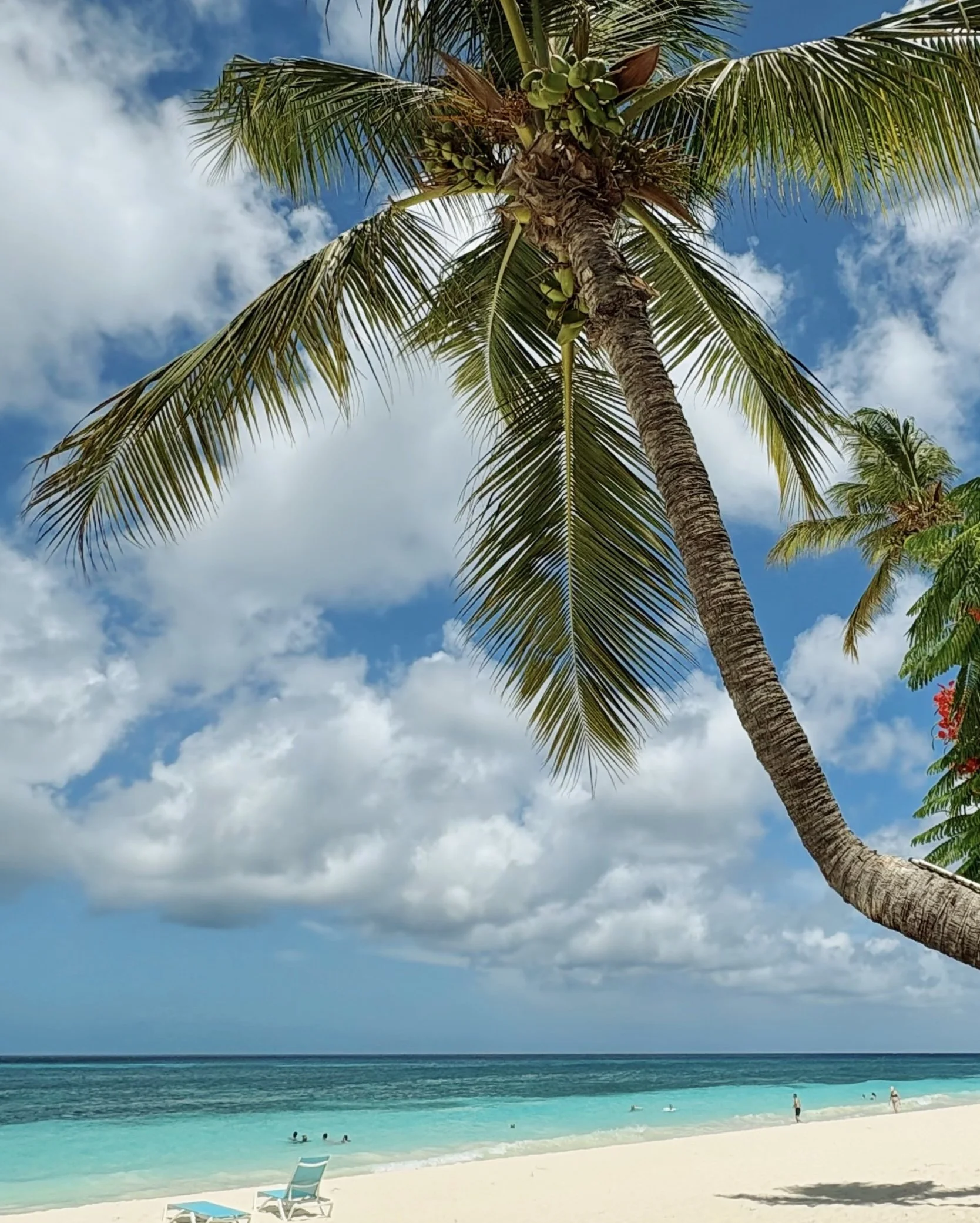 FullSizeRender_VSCO (48).jpg