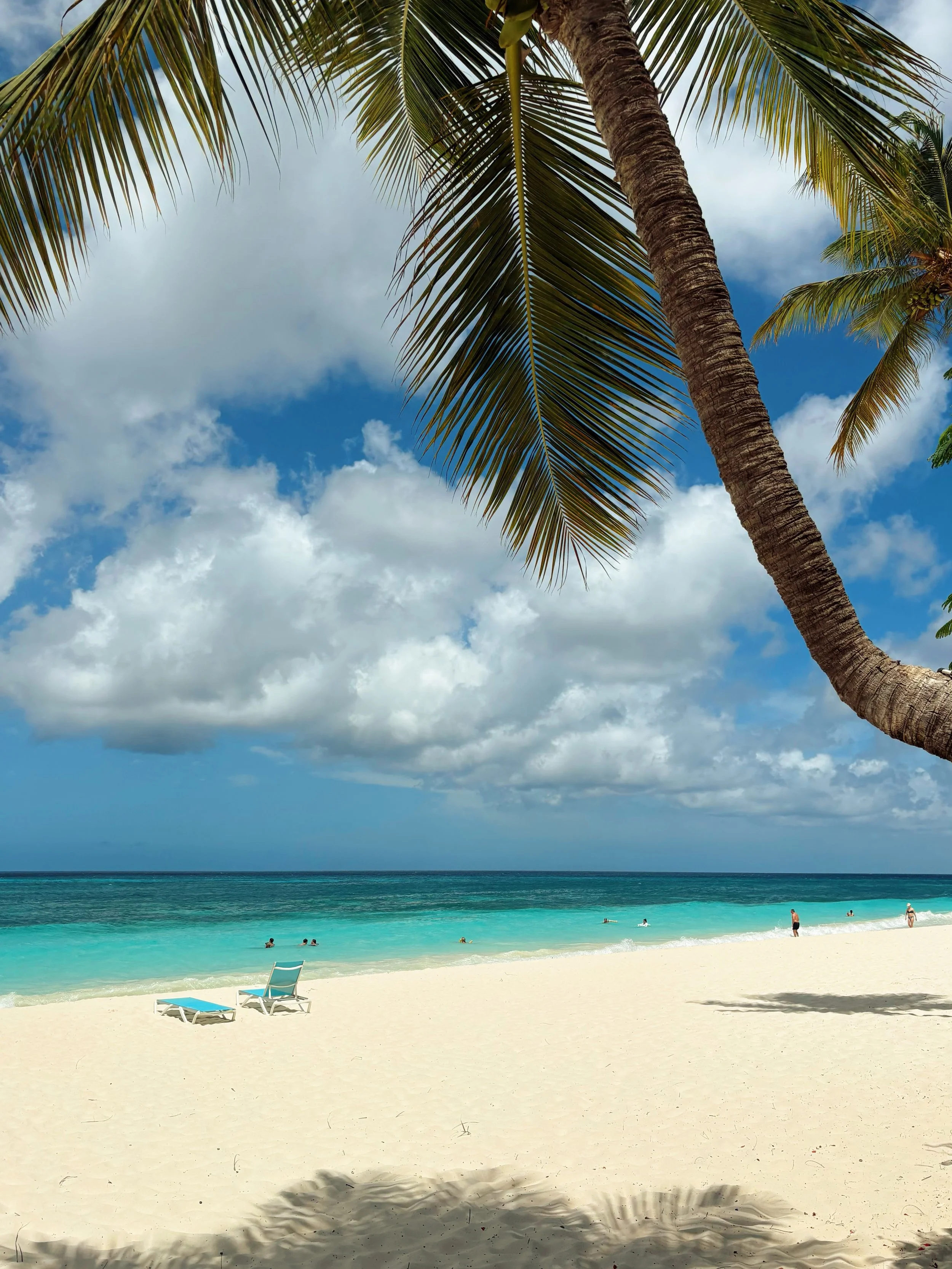 FullSizeRender_VSCO (47).jpg