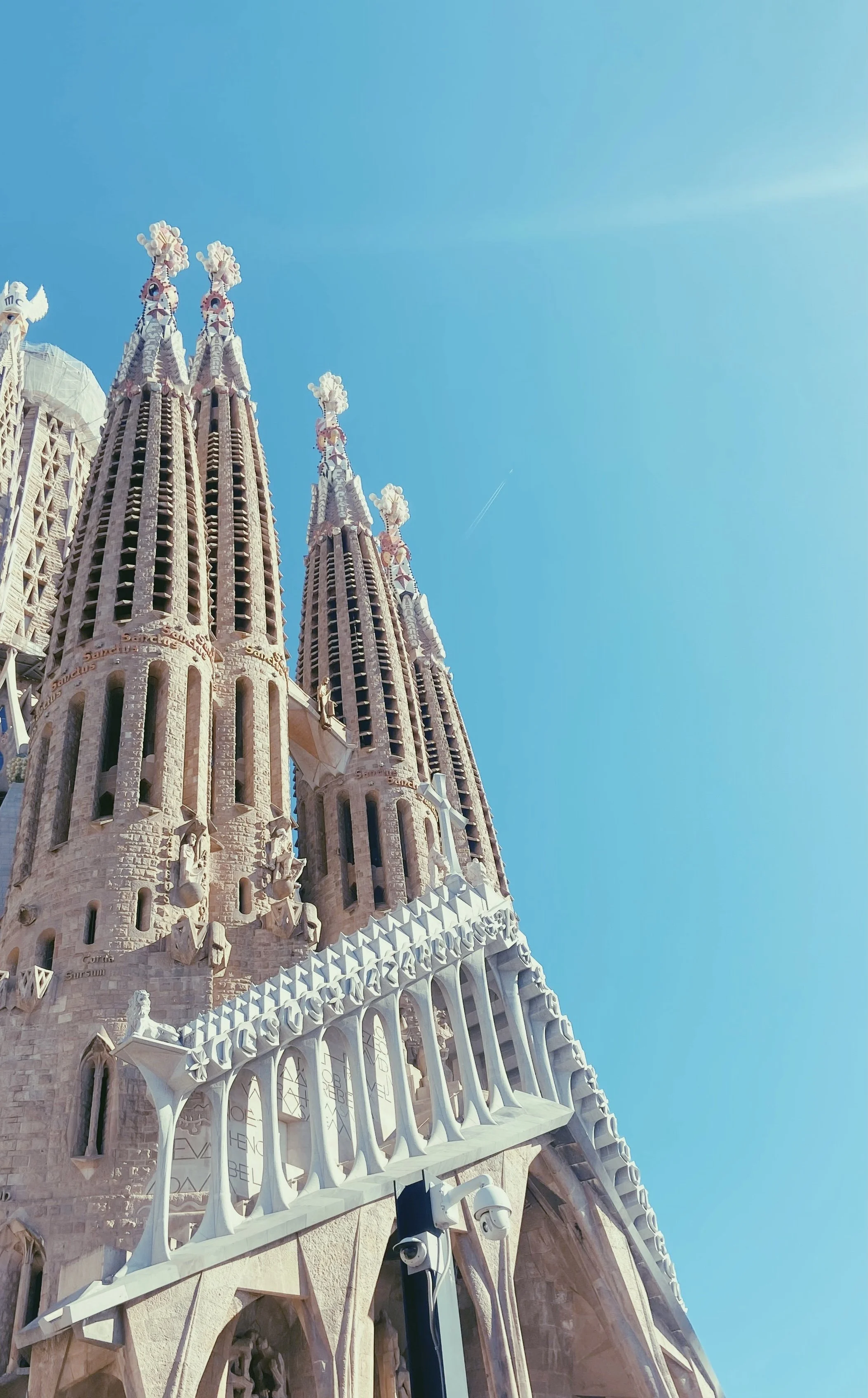 FullSizeRender_VSCO (1).jpg