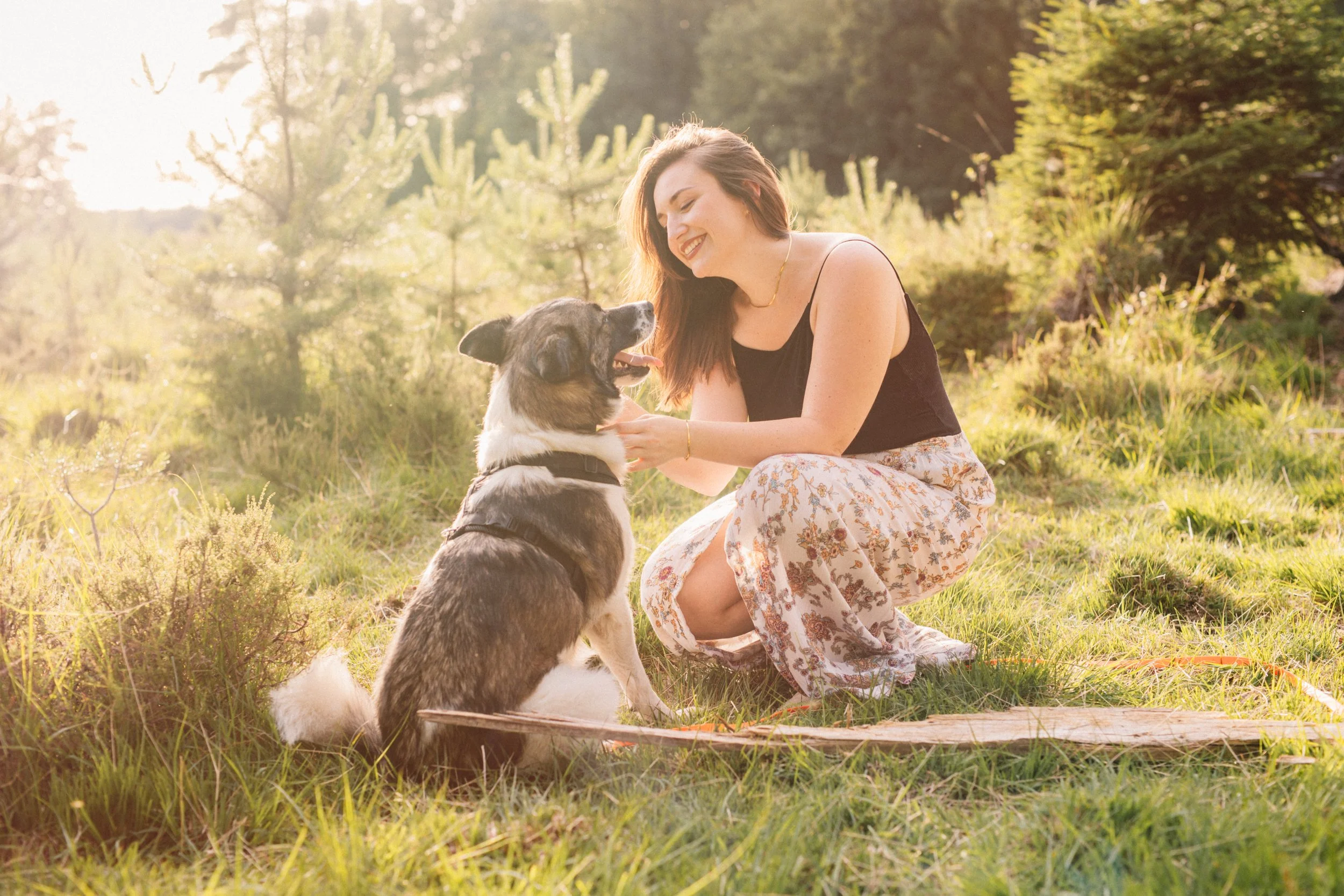 Eine junge Frau mit braunen Haaren sitzt im Grünen und streichelt einen Hund, während sie lächelnd schaut, bei Sonnenuntergang.