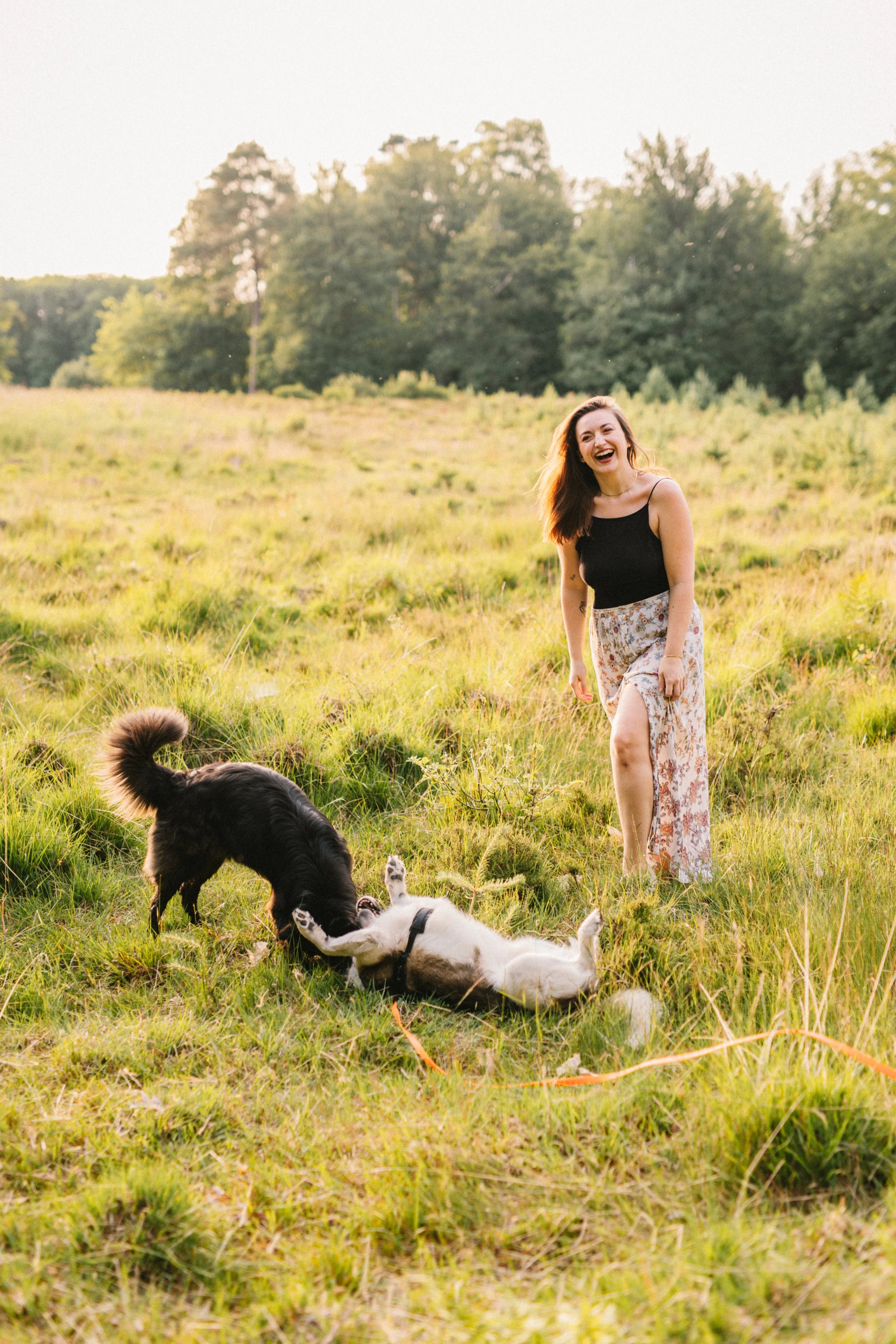 Eine lachende junge Frau in einem schwarzen Tanktop und einem langen, floralen Rock spielt mit mehreren Hunden auf einer Wiese im Freien während des Sonnenuntergangs.