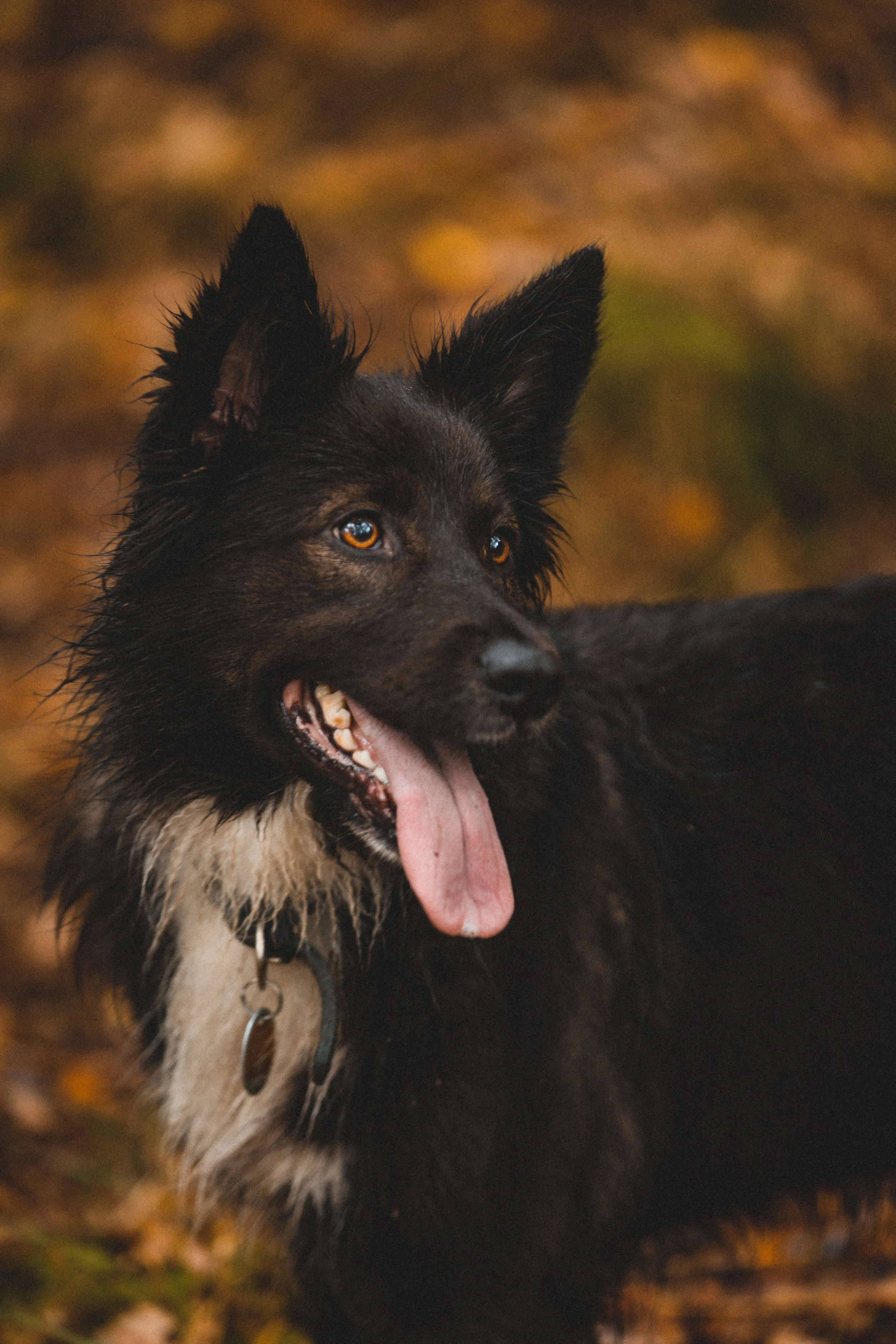 Social Walk & Chill. | Einzelticket