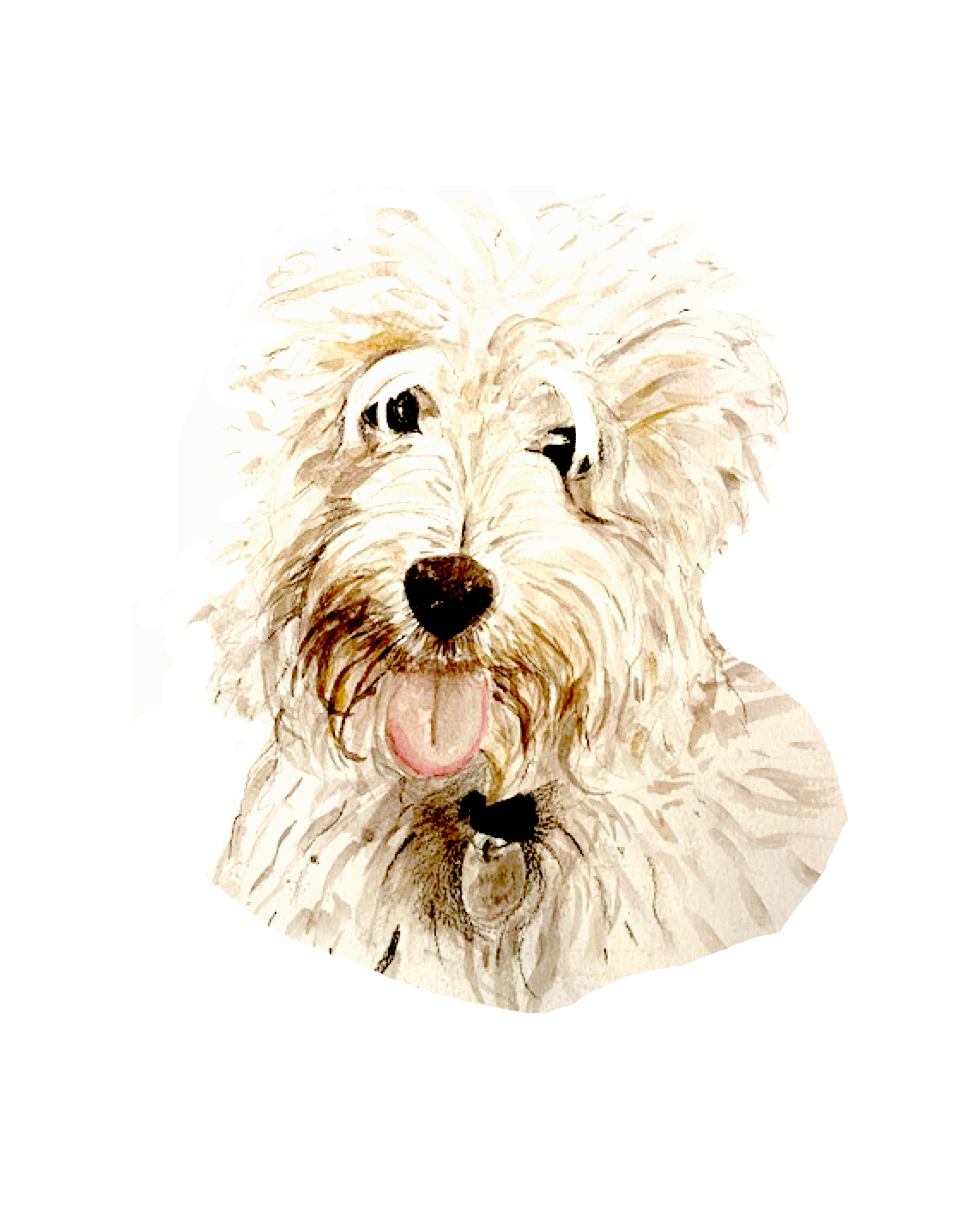 Detailed hand-drawn pet portrait of a white cotonoodle dog, a perfect personalized gift for animal lovers