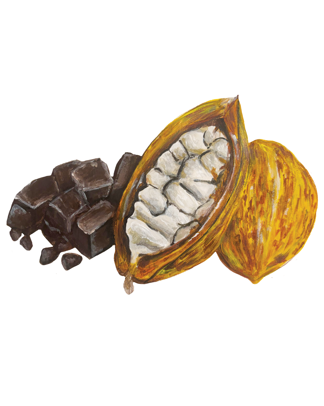 Bespoke illustration Cacao wall vinyls for a corporate office venue Gu Desserts