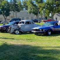Several vintage cars parked on a grassy area with trees and buildings in the background.