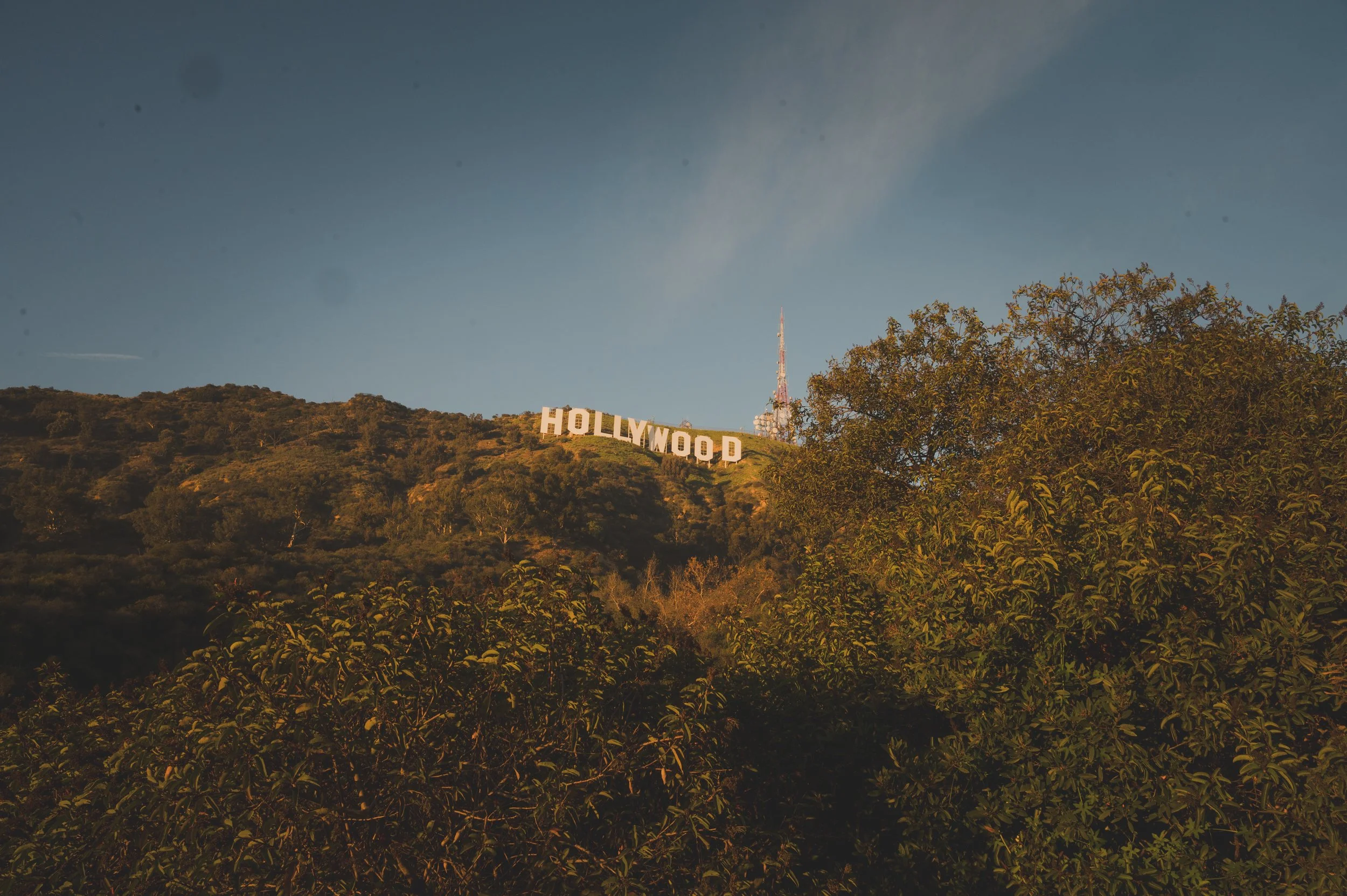 Photo of the Hollywood sign on a hillside with a clear sky and some trees in the foreground.