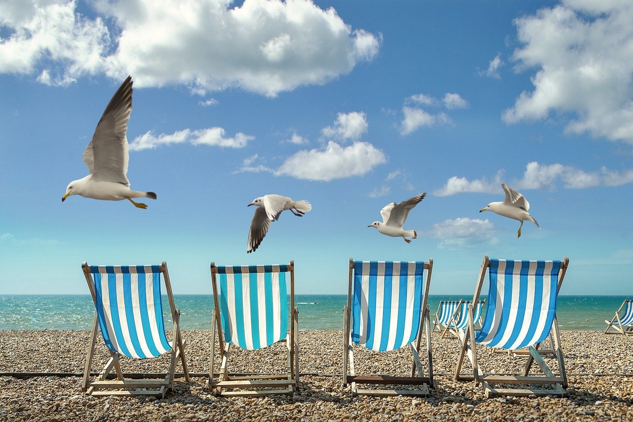 Today I Will Be Happier than a Bird with a French Fry