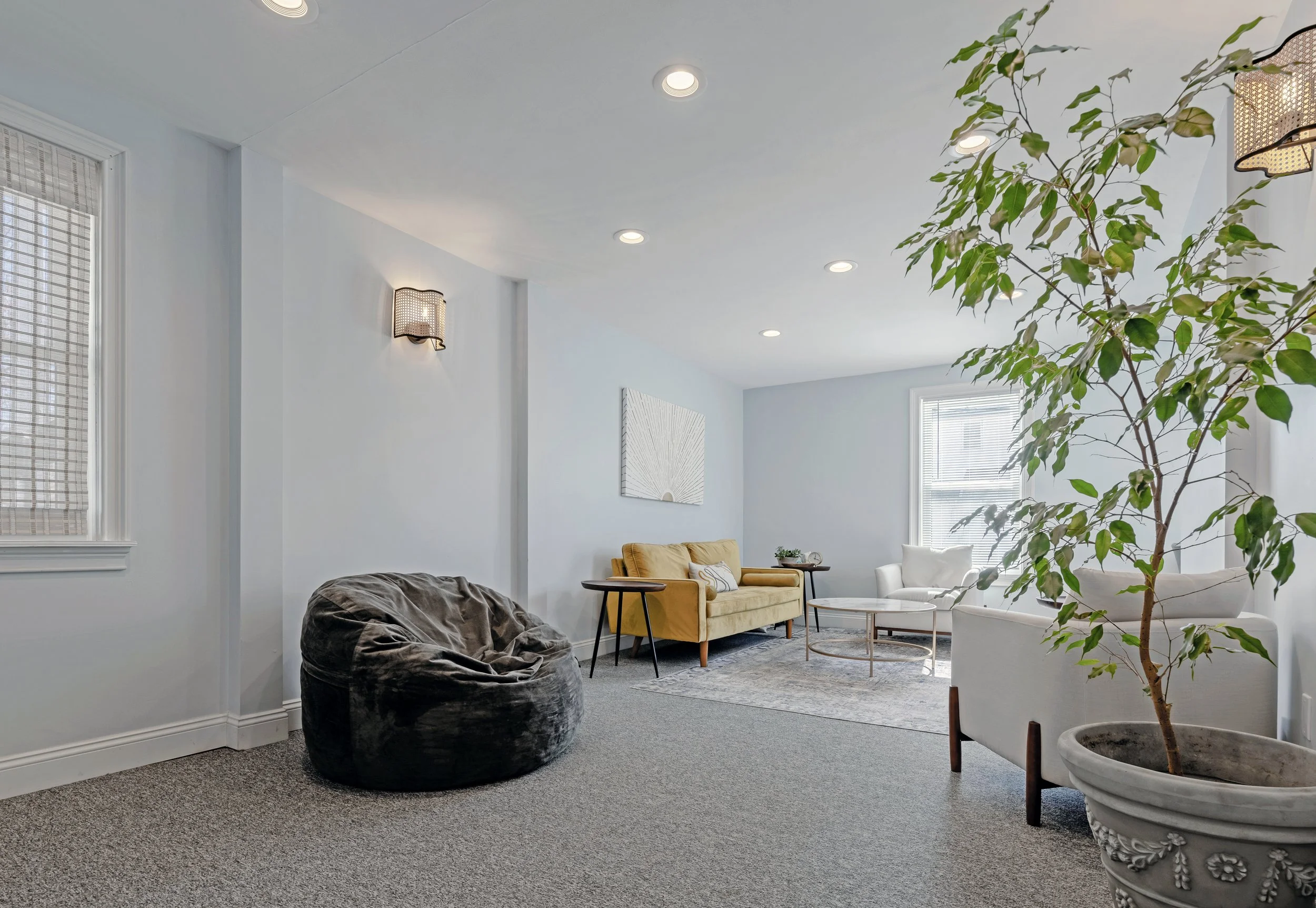 Room with white walls, large windows, a yellow sofa, a white armchair, a gray rug, and a large houseplant in a decorative pot.