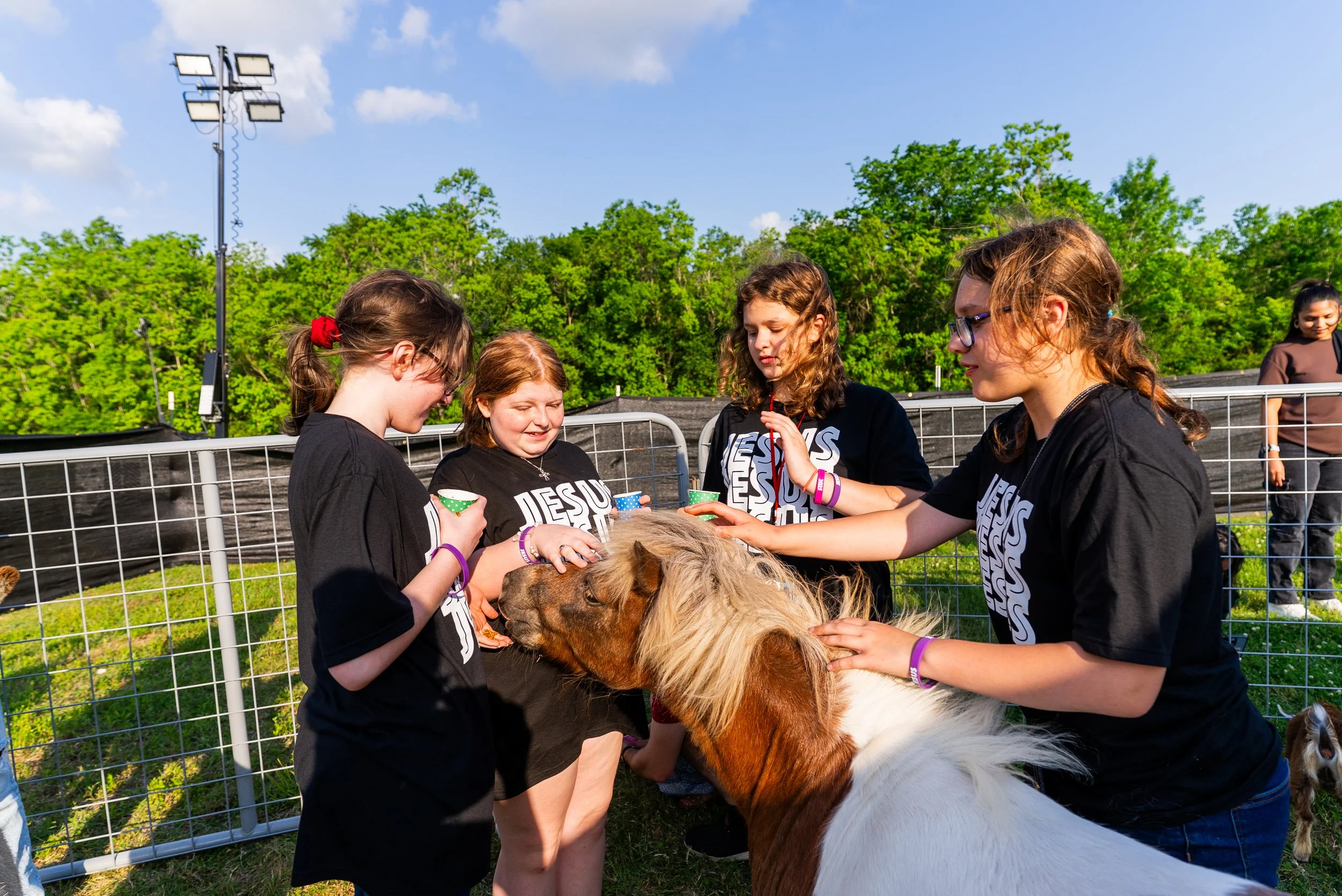 Four girls petting and feeding a small brown and white goat in an outdoor pen with a green leafy background and blue sky.