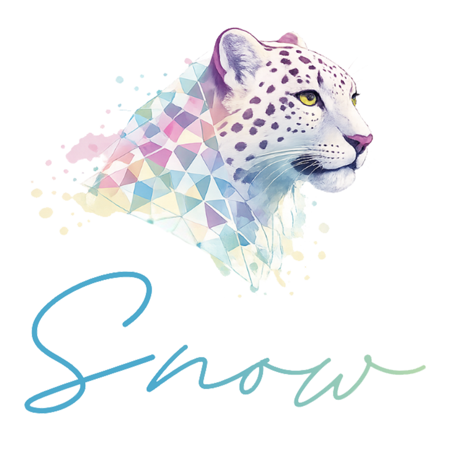 SNOW CREATIVE STUDIO