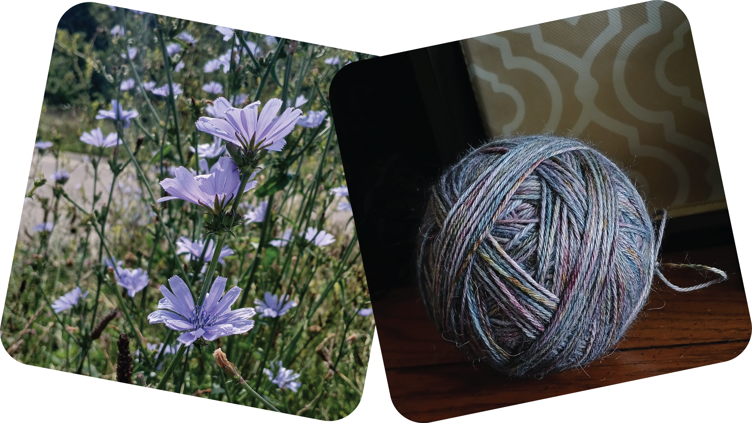 Two images, the left with lilac-colored wildflowers, the next is a close-up of the same color hand-dyed yarn.