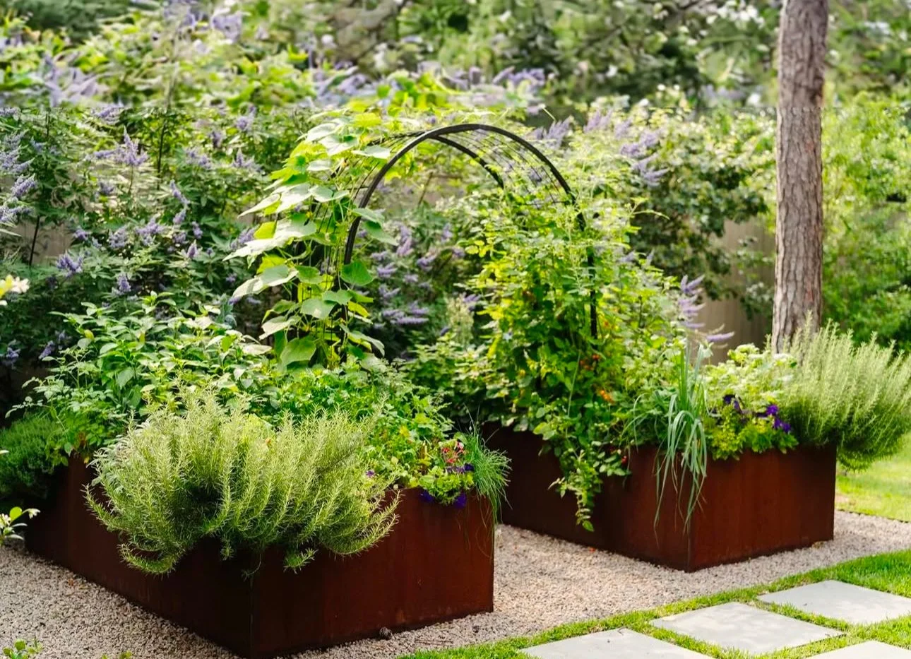 Two large rust-colored rectangular garden planters filled with various green plants and flowers are shown outdoors. A black metal garden arch supports climbing plants. The background includes purple flowering bushes, green trees, and a grassy area with stone pavers.