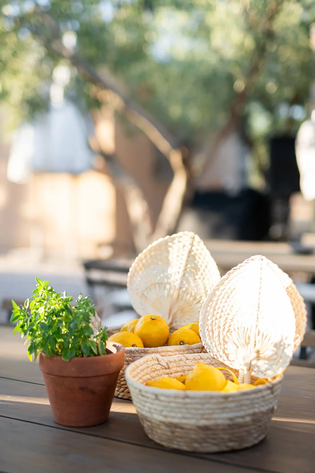 Mediterranean table styling for private event Athens NYRA