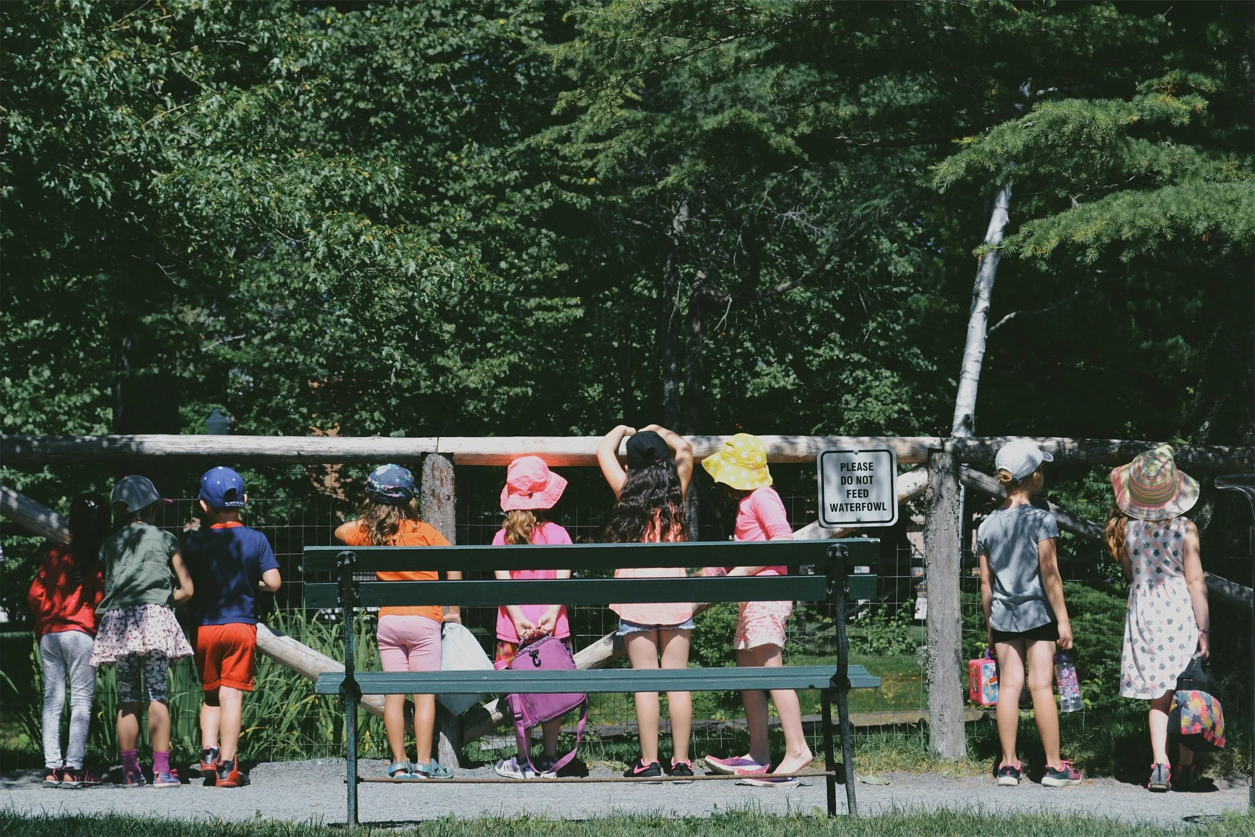 A group of children and young people, wearing hats, standing by a wooden fence at a zoo or animal park, looking at a waterfowl exhibit, with lush green trees in the background and a sign that says, 'Please do not feed waterfowl.'