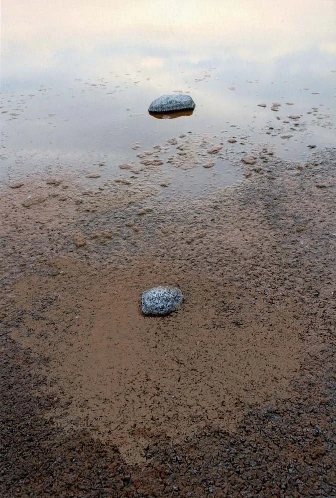 Where a Lake Once Was - Leanne Olson