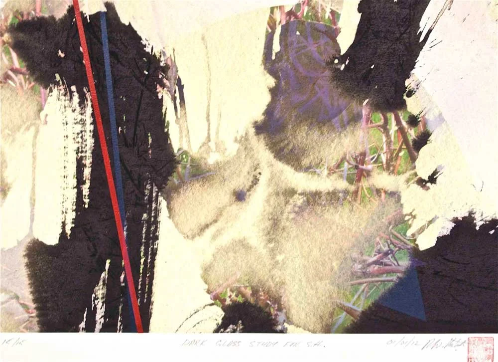 Dark Glass Study for S.H. - Wayne Eastcott