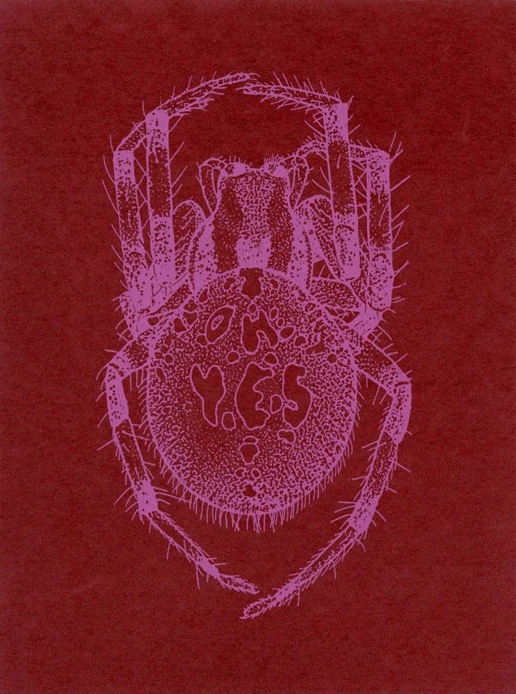 Small Shamrock Spider - Carl Skelton
