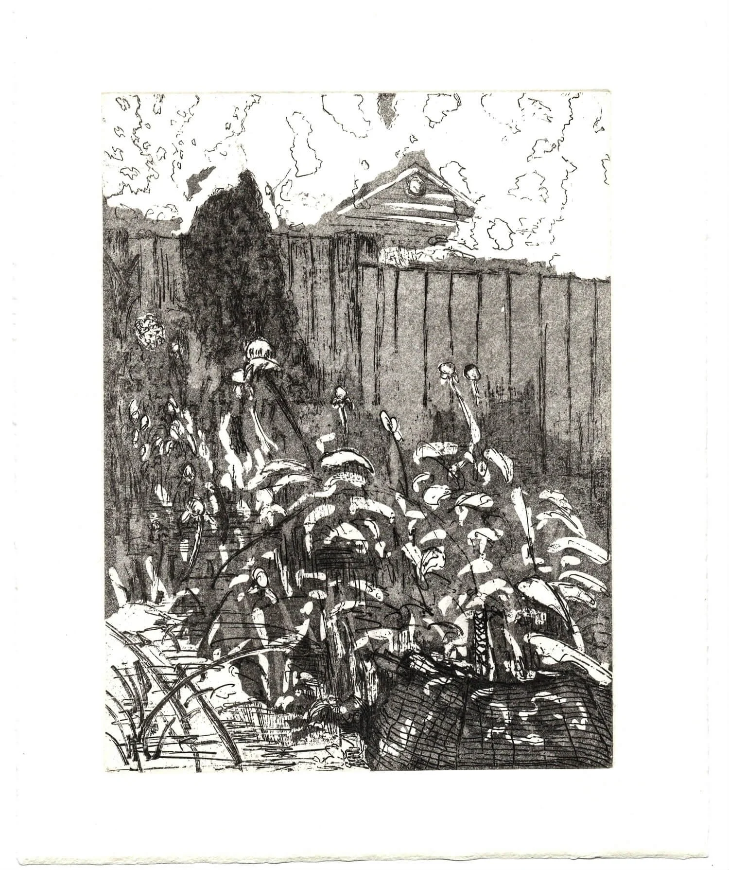 Over the Fence - Emmanuel Osahor