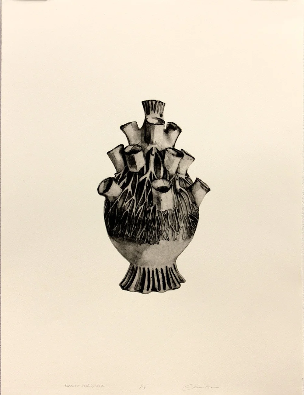 Breast Tulipiere by Helen Gerritzen
