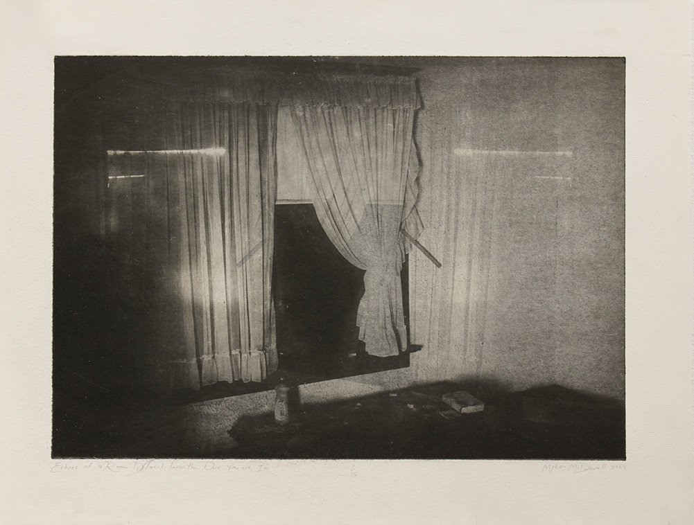 Echoes of a Room, Different from the One You are In by Myken McDowell