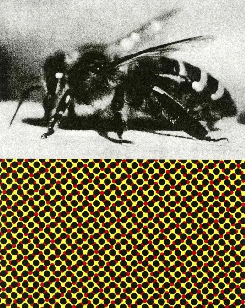 Yellow Swarm - Nancy Fox