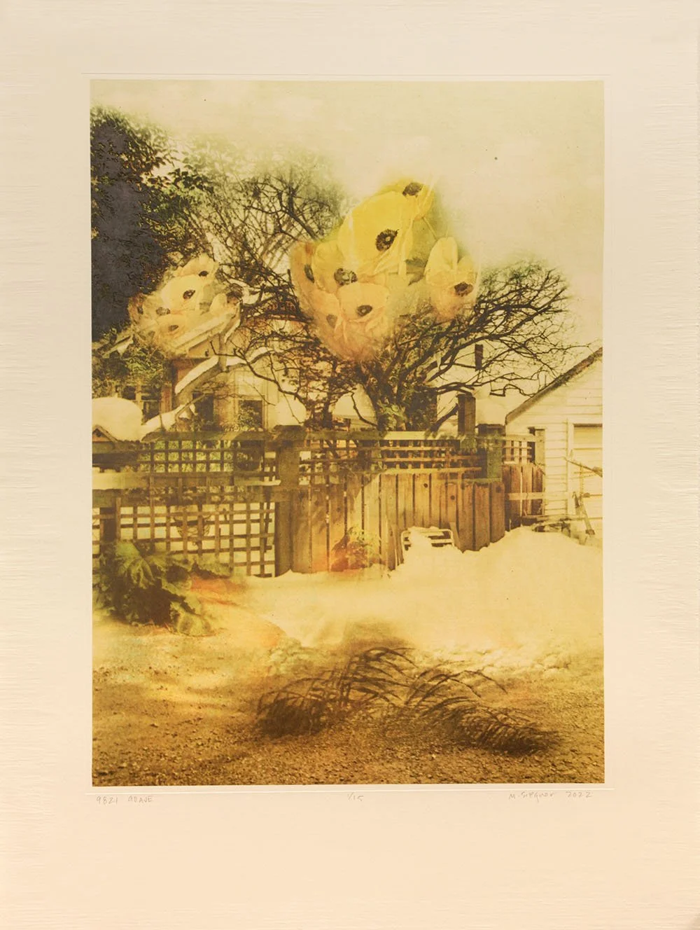 9821 90 Ave by Marc Siegner