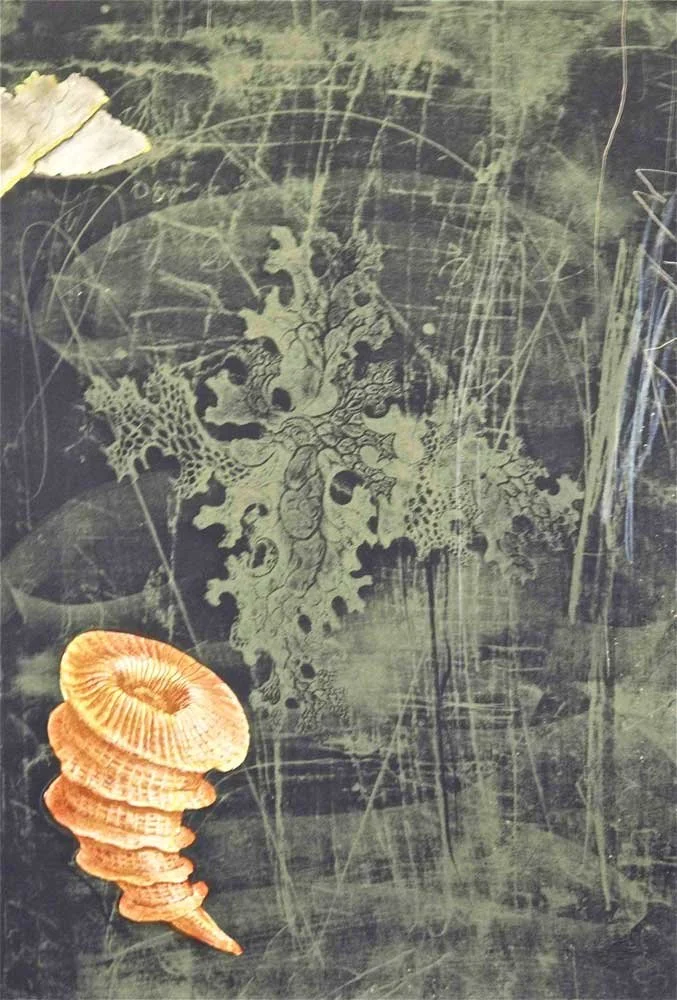 From Villa Medusa - Mark Bovey